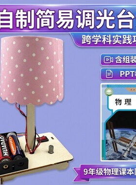 科技小制作DIY手工发明亮度创意台灯科学实验材料物理电路简易