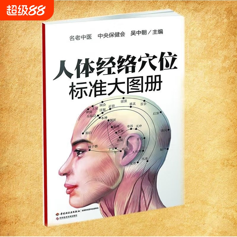 人体经络穴位图标准大图册 穴位图超清晰人体经络穴位图解书人体经络中医按摩穴位图解大全书籍养生书籍 标准中医针灸穴位大图册