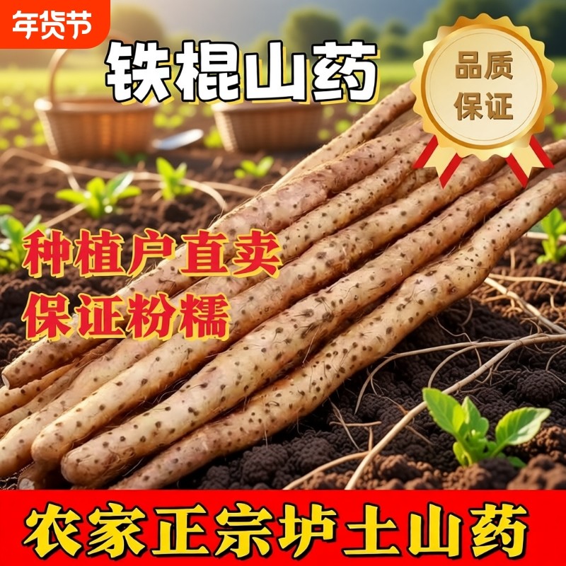 河南特产焦作温县铁棍山药淮山药新鲜蔬菜有药性的怀山药长山药