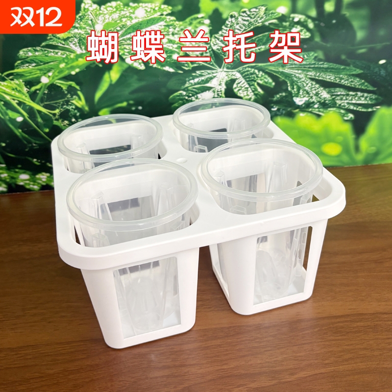 蝴蝶兰4格托架组盆万象盆托架