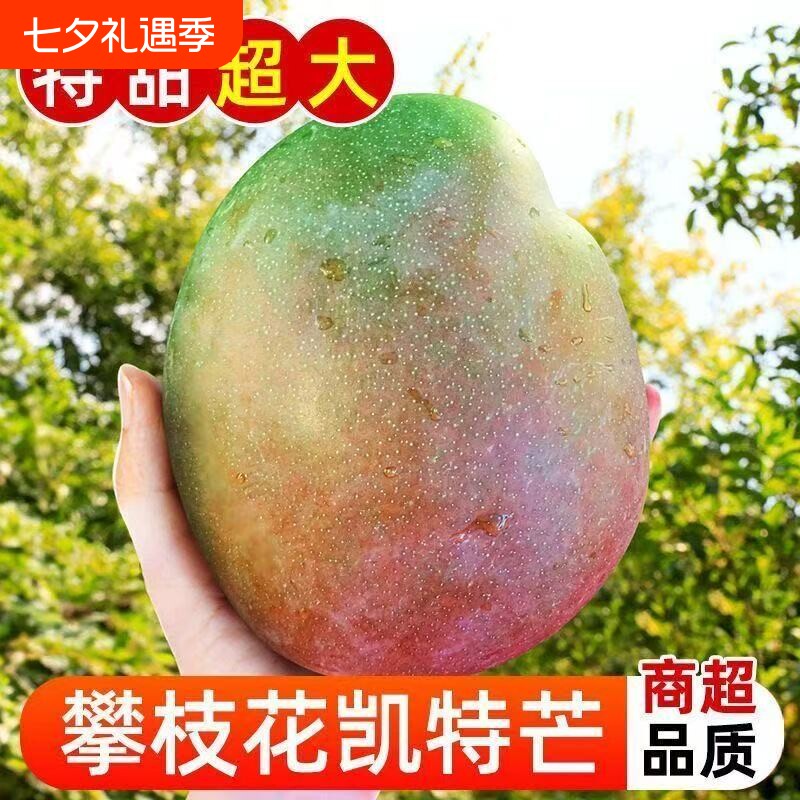 四川攀枝花凯特芒果新鲜采应季斤水果芒果整箱包邮特大青忙果当季