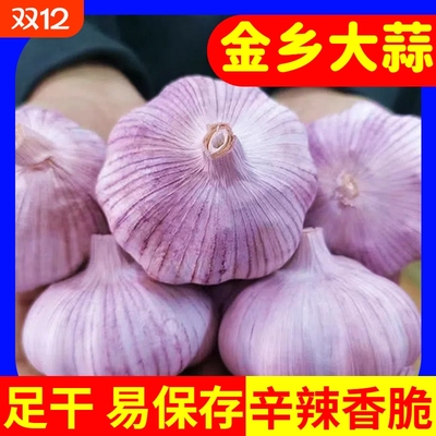 【超值抢购】大蒜头批发干蒜紫白皮蒜新鲜应季蔬菜整箱批发价包邮