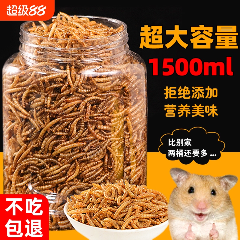 面包虫干500g|回头客超1000人