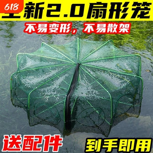 虾笼渔网鱼网捕鱼笼龙虾网笼抓鱼折叠捕虾工具手抛网泥鳅黄鳝笼子