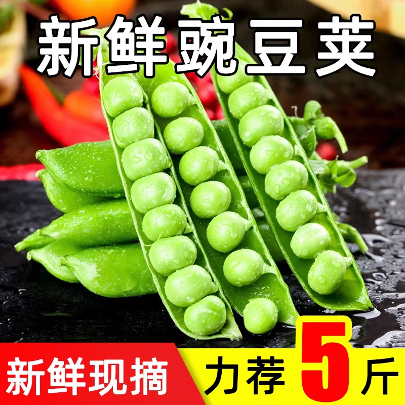 甜脆豌豆云南高山新鲜水果豌豆带壳水晶长寿仁带壳农家蔬菜甜豆荚