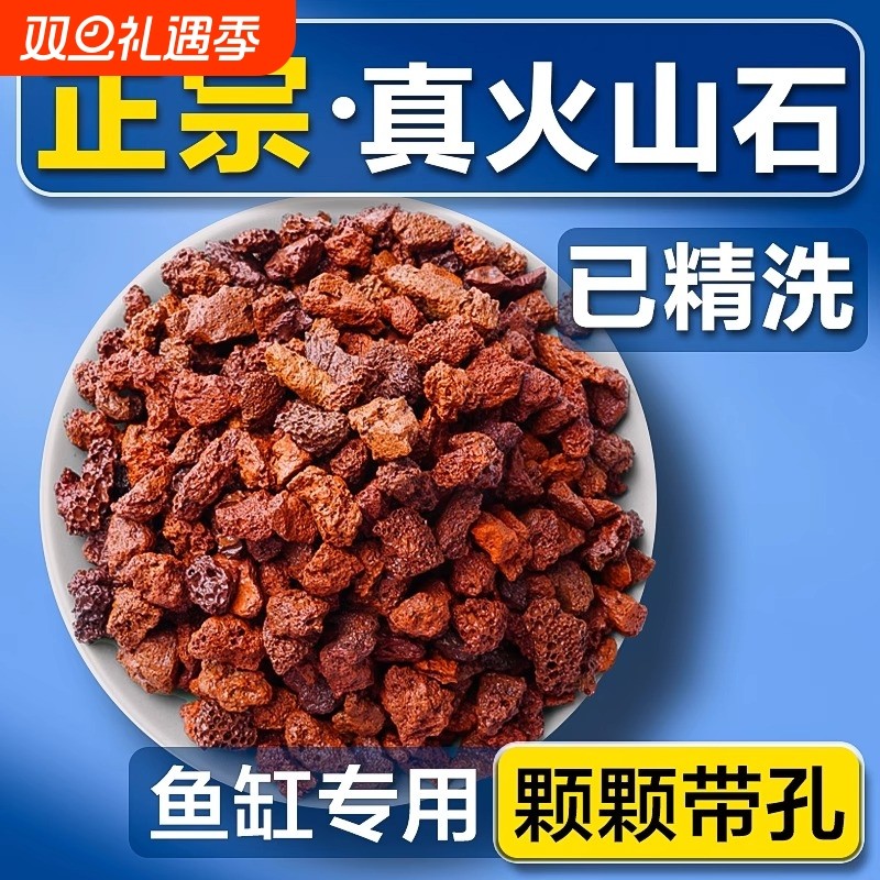 火山石鱼缸专用底砂天然滤材精品造景多肉铺面石颗粒养鱼水质铺底