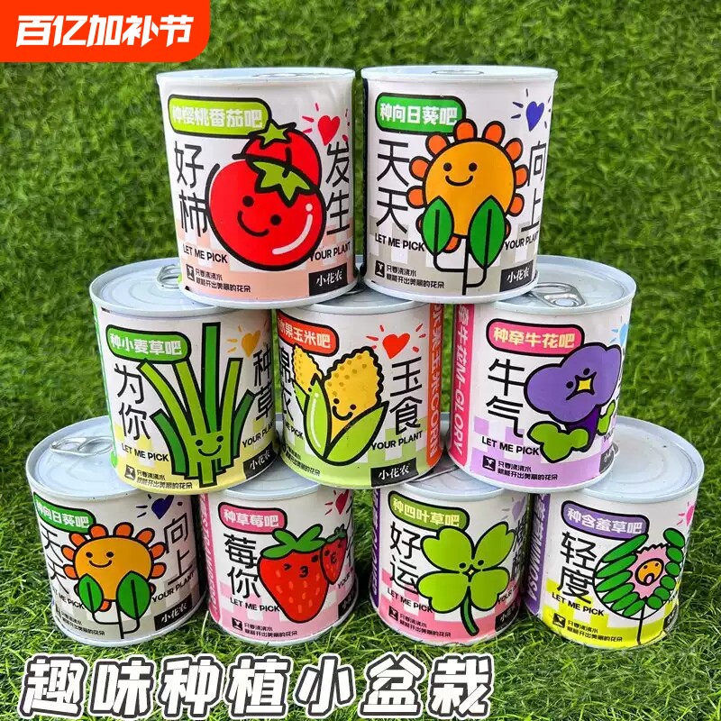 创意礼物种植小盆栽六一儿童节学生生日礼品幼儿园伴手礼兑换植物