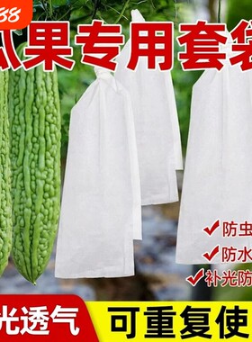 长丝瓜网眼套袋防虫袋