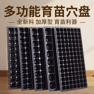 育苗穴盘家庭育苗种植神器套装营养钵蔬菜多肉育种扦插盒农用托盘