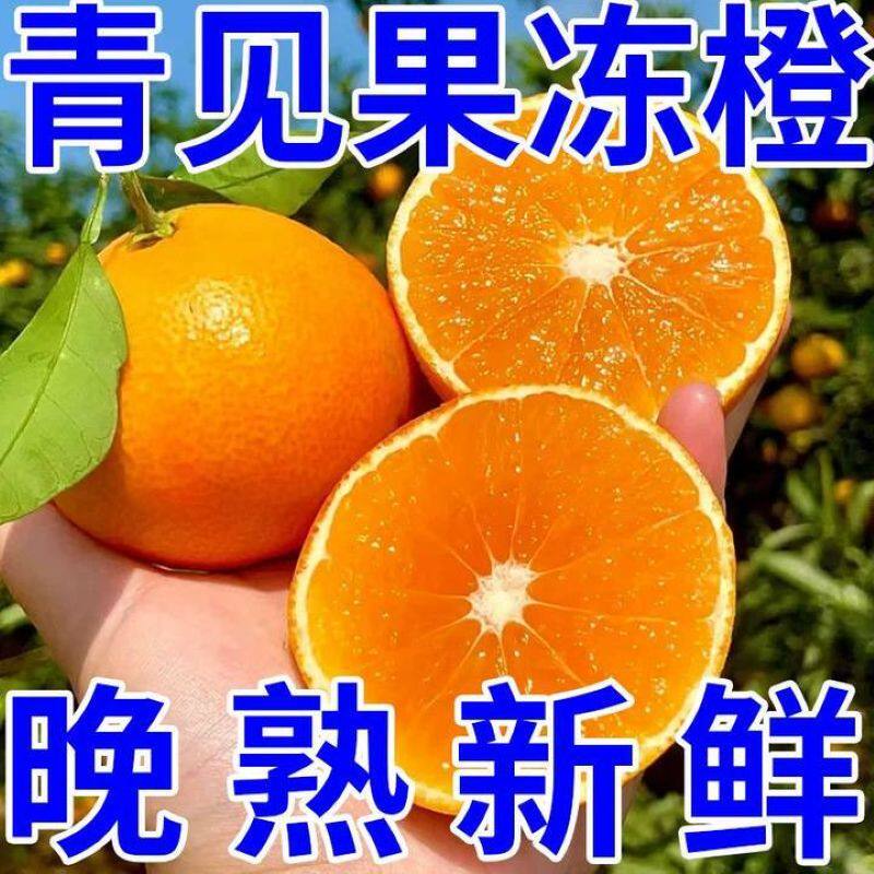 四川特产青见果冻橙非爱媛耙耙柑橘子现摘新鲜水果整箱包邮大果