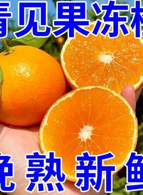 四川特产青见果冻橙非爱媛耙耙柑橘子现摘新鲜水果整箱包邮大果