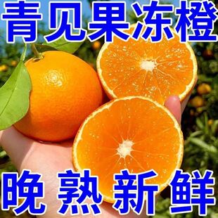 四川特产青见果冻橙非爱媛耙耙柑橘子现摘新鲜水果整箱包邮大果