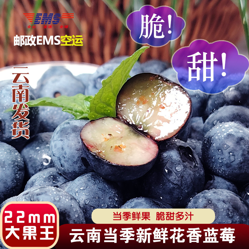 EMS空运纯甜当季鲜高山花香蓝莓鲜果云南25号一颗佳莓沃高端水果,水产肉类/新鲜蔬果/熟食,蓝莓,淘宝优惠券,粉丝福利购,淘宝优惠卷