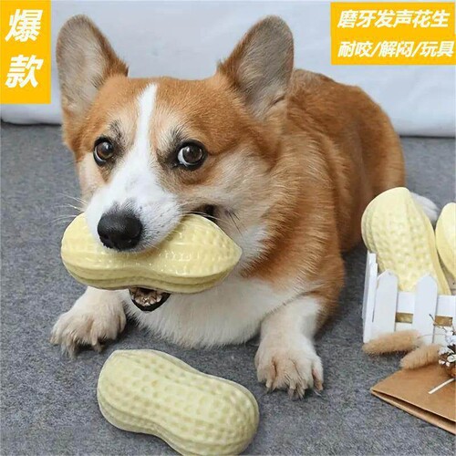狗狗玩具耐咬磨牙发声花生玩具中型大型宠物犬柯基法斗狗解闷神器