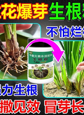 兰花专用生根粉强力壮苗水溶肥扦插移栽枯树营养液植物花卉蝴蝶兰