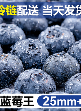 蓝莓鲜果新鲜水果云南l25蓝莓高山花香怡颗甜莓大果产地直发