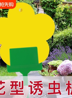 小飞虫克星花型诱虫板双面粘虫板小黑飞粘虫纸家用黄色果蝇诱捕器