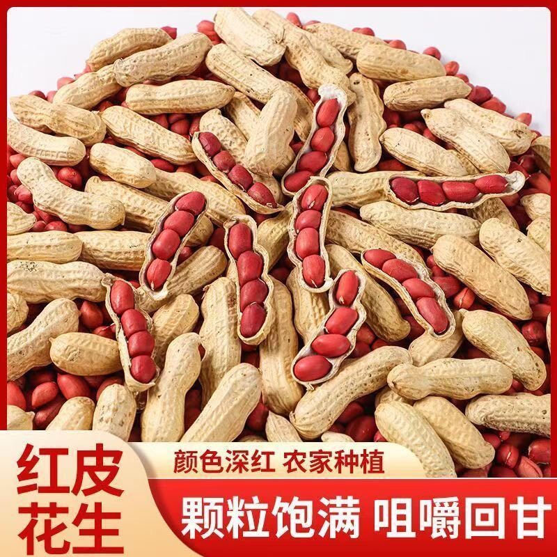 铁锅炒原味红皮花生河南
