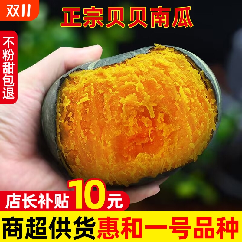 新鲜真贝贝小南瓜日本惠和一号
