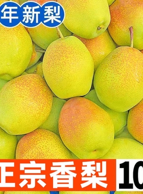 正宗红香酥梨香梨新鲜水果脆甜多汁薄皮雪梨应当季整箱10包邮斤
