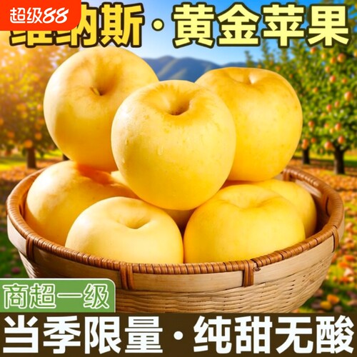正宗山东维纳斯黄金苹果脆甜非黄元帅奶油富士丑新鲜当季苹果整箱