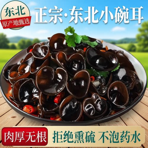 长白山特产小碗小农家椴木秋木耳黑木耳干货袋装新货凉拌食用肉厚