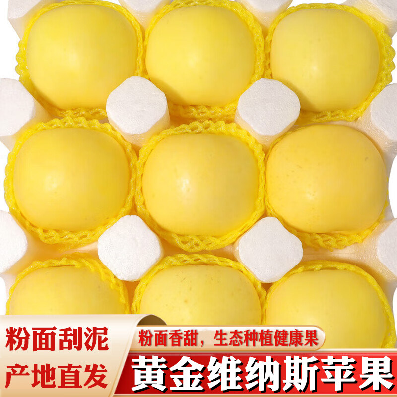 正宗维纳斯黄金苹果新鲜水果盒山东烟台苹果秋冬当季应季包邮京东,水产肉类/新鲜蔬果/熟食,苹果,淘宝优惠券,粉丝福利购,淘宝优惠卷