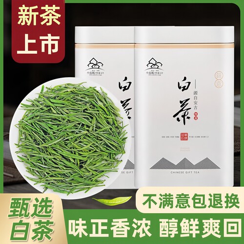 安吉白茶特级明前茶|千人回购