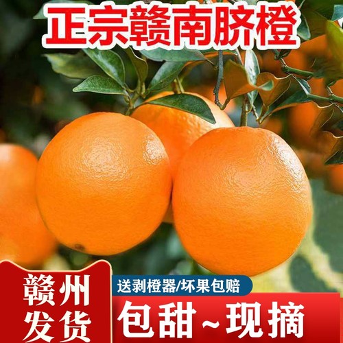 赣南脐橙鲜甜多汁新鲜当季水果