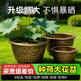 特大号塑料花盆加厚耐用树脂户外大口径铁树荷花睡莲养鱼盆水培
