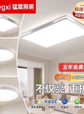 led吸顶灯2026年新款房间灯具主卧餐厅灯现代走廊过道阳台卧室灯