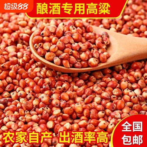 红高粱喂鸽子粮食去壳带皮鸟食信鸽观赏鸽幼鸽成鸽粮饲料酿酒新鲜