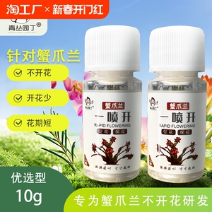 青丛园丁蟹爪兰一喷开花 花多艳丽延长花期花芽花卉植物营养液