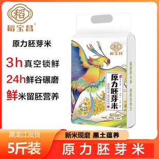 稻宝昌新米生态胚芽米2.5kg东北大米5斤真空装糙米优质煮粥食用