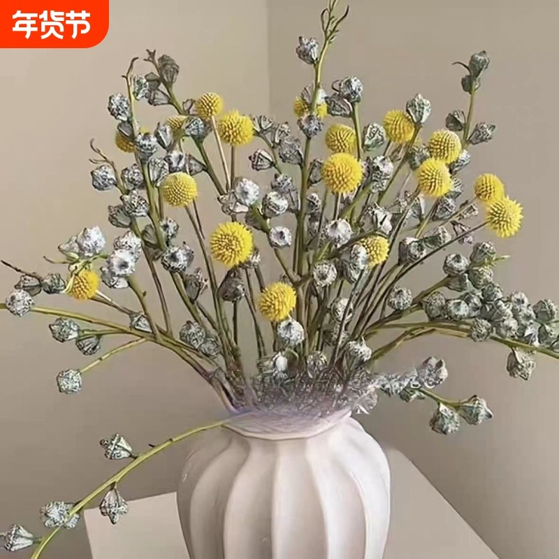 钻石尤加利果 尤加利叶千层金干花真果云南基地直发大果现采花材,鲜花速递/花卉仿真/绿植园艺,花材,淘宝优惠券,粉丝福利购,淘宝优惠卷