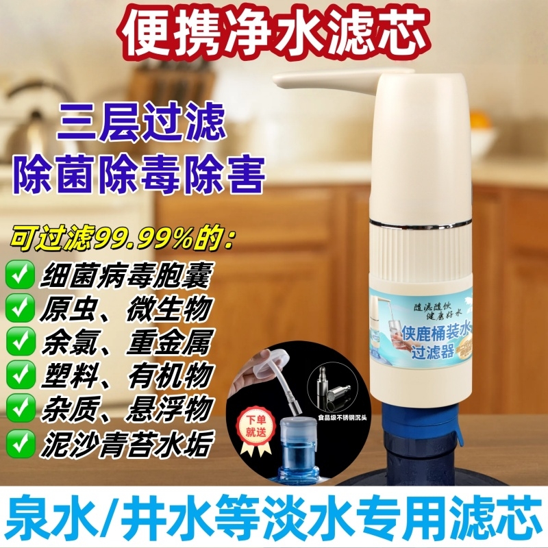 桶装水过滤器山泉水井水自来水去水垢余氯净水器电动抽水泵抽水器