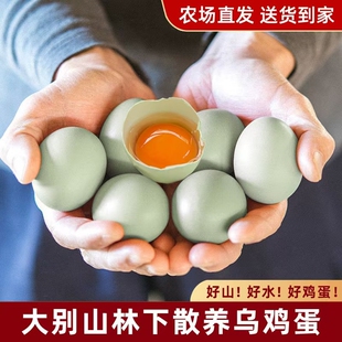 绿壳土鸡蛋50枚散养儿童吃新鲜农家鸡蛋好蛋现发配送农场乌鸡精选