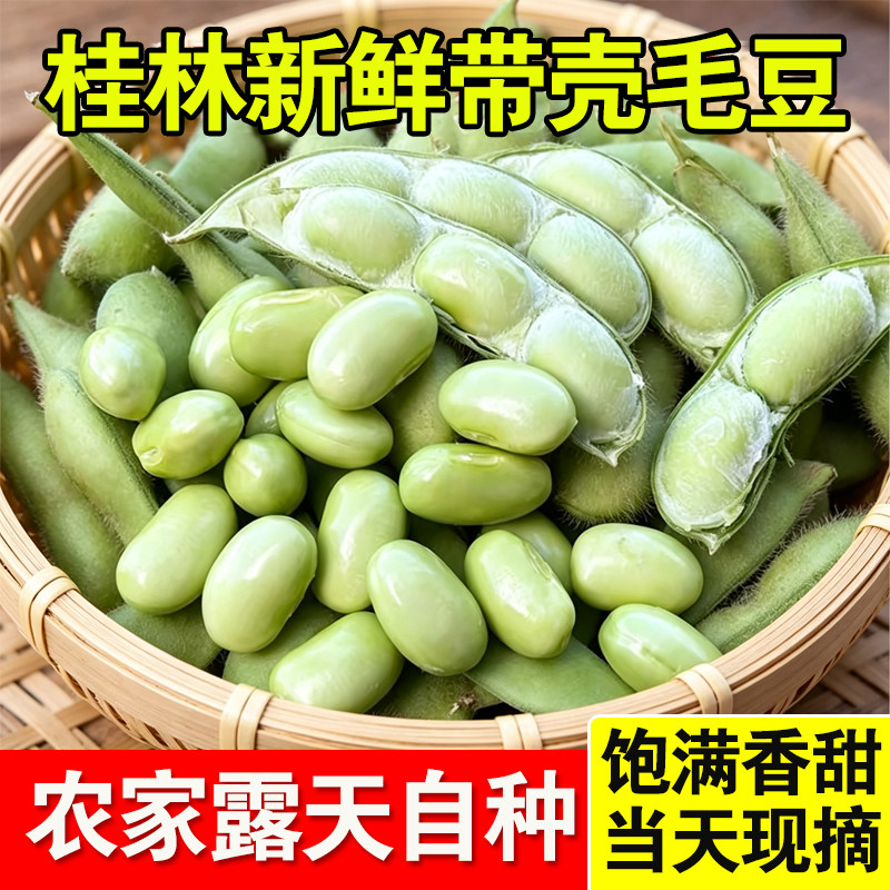 广西桂林毛豆新鲜带壳现摘青豆子豆荚嫩黄豆农家自种露天时令蔬菜