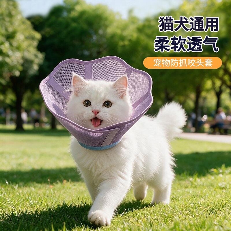 宠物伊丽莎白圈猫咪项圈头罩猫术后防咬头套猫咪绝育防舔驱虫脖圈