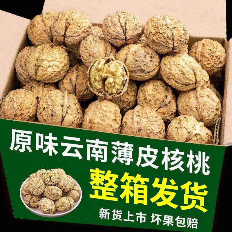 核桃2026新货云南纸皮核桃带壳图片