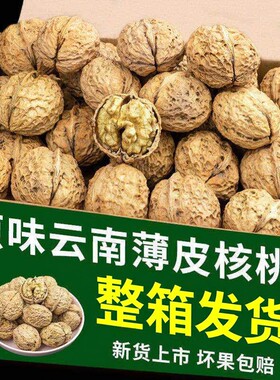 核桃2026新货云南纸皮核桃带壳