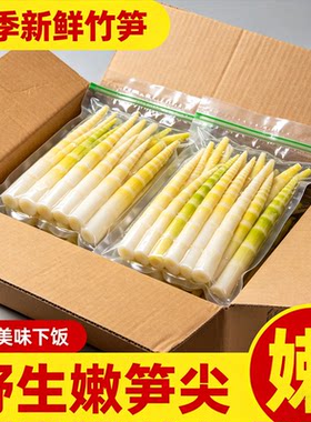 高山竹笋新鲜嫩笋尖野生非小竹笋清水笋罗汉笋火锅笋春笋商用小笋
