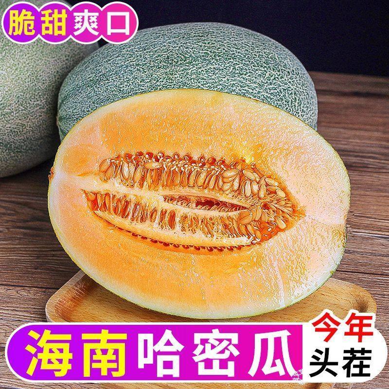正宗海南哈密瓜西州密25号瓜薄皮爆甜当季新鲜水果一整箱老少皆宜,水产肉类/新鲜蔬果/熟食,哈密瓜,淘宝优惠券,粉丝福利购,淘宝优惠卷
