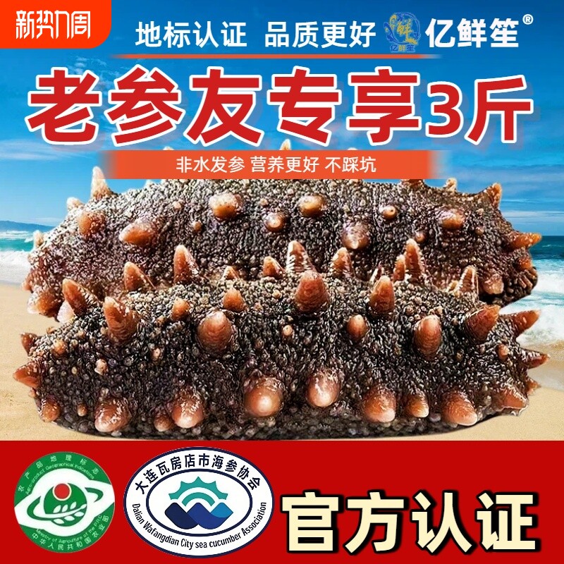 【鲜蒸海参即食】大连大连正宗辽刺参底播品质即食底播刺参30根装