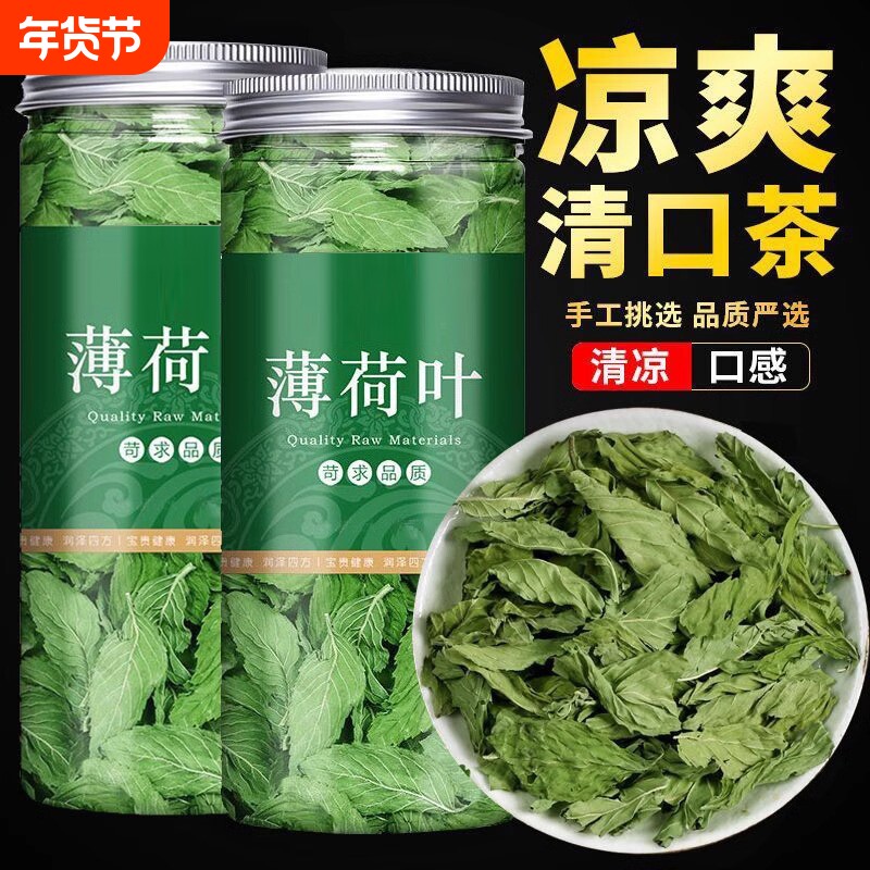 薄荷叶泡茶泡水喝新鲜薄荷茶新货薄荷叶食用搭配柠檬罐装花茶夏季