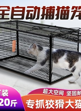 加厚全自动新型人道救助流浪猫