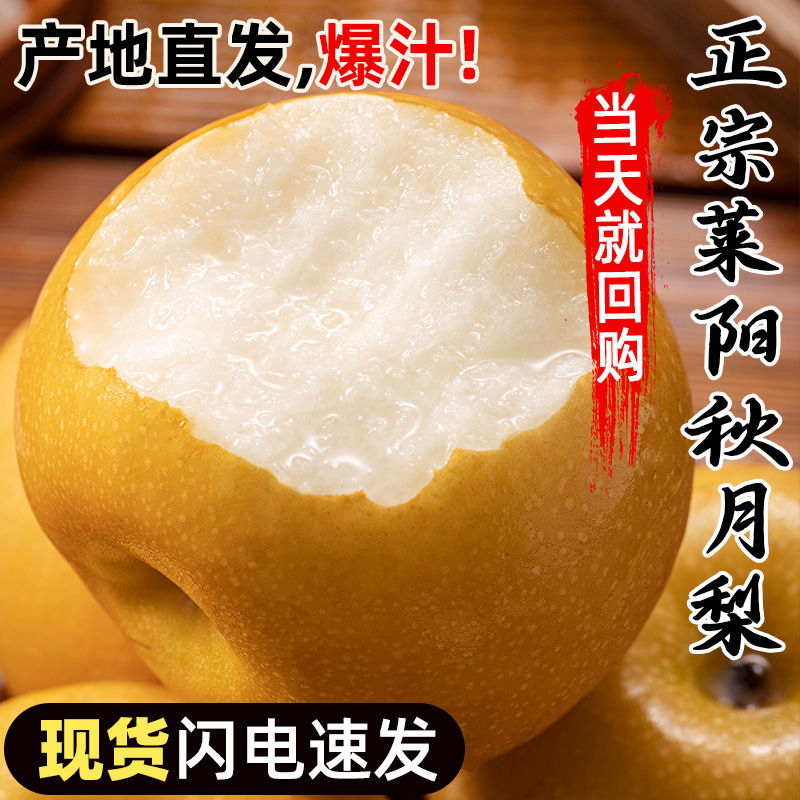【甘甜多汁】正宗山东秋月梨梨子当季应季新鲜水果整箱 脆甜无渣