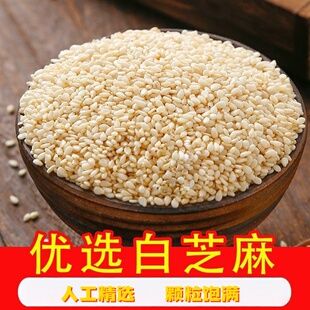 新货白芝麻生熟芝麻新鲜散装芝麻免洗即食脱皮去皮袋装调料优选