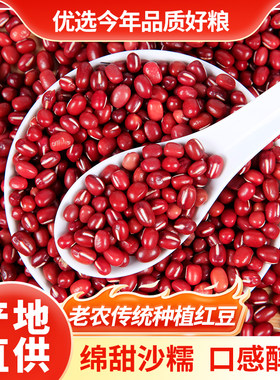 当季新红豆5斤红小豆红豆薏米五谷杂粮粥豆浆批发优选精选新鲜