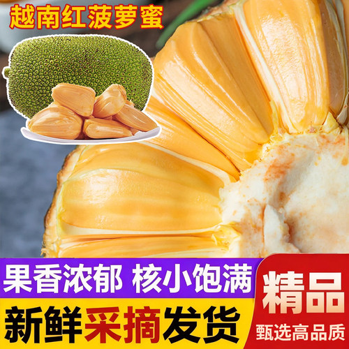 进口红肉菠萝蜜当季新鲜水果整个包邮热带黄肉波罗蜜味浓脆甜